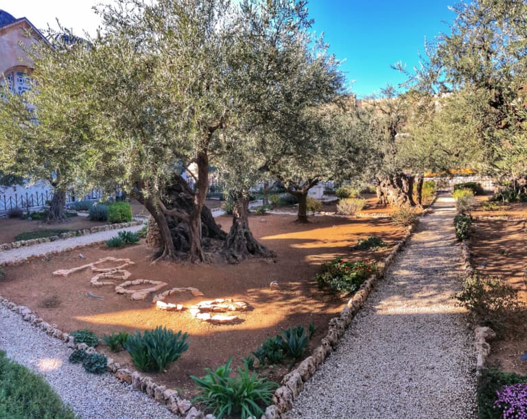 Garden of Gethsemane