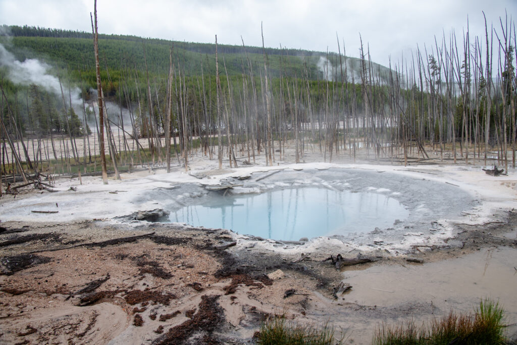 Yellowstone National Park