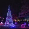 Festival of Lights At Cincinnati Zoo