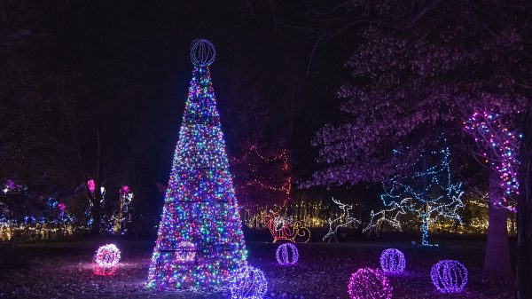 Festival of Lights At Cincinnati Zoo