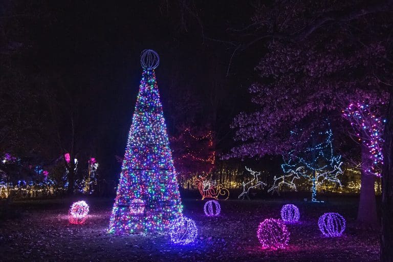 Festival of Lights At Cincinnati Zoo Voted Best In The Nation Festival of Lights At Cincinnati Zoo Voted Best In The Nation
