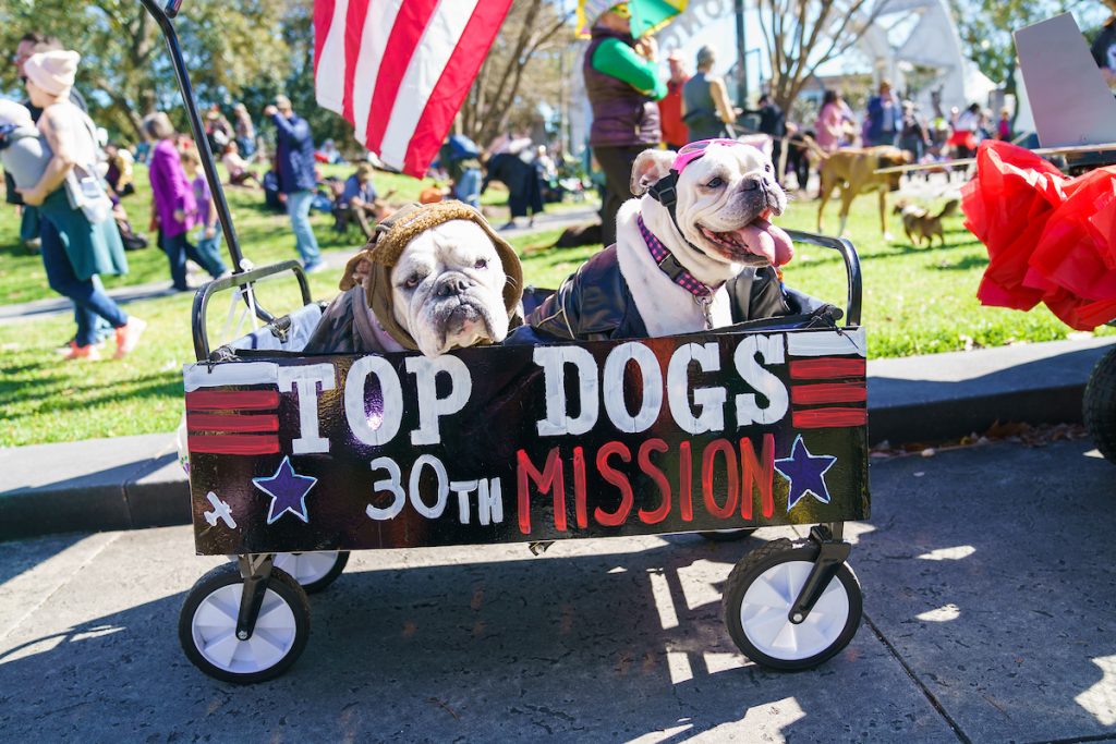 Photos: Mystic Krewe of Barkus Celebrates 30 Years