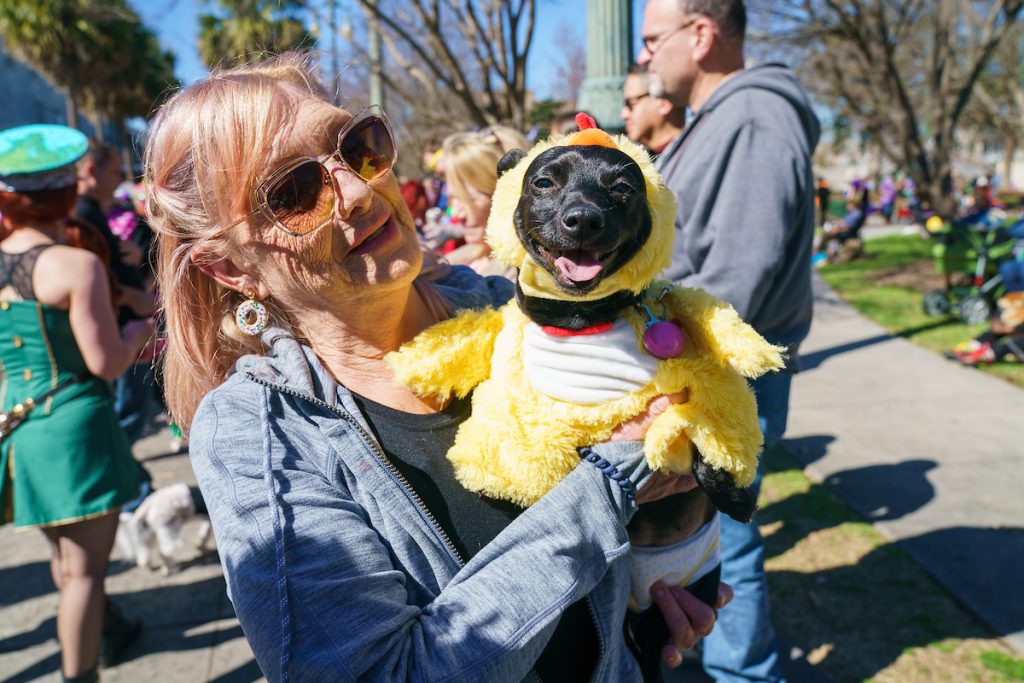 Photos: Mystic Krewe of Barkus Celebrates 30 Years