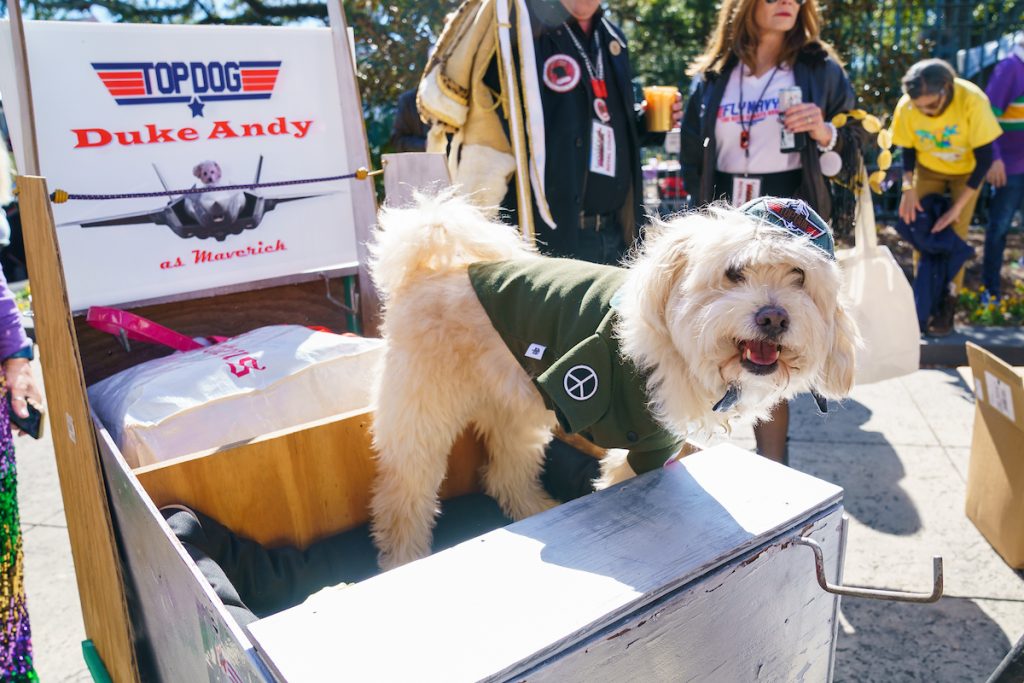 Photos: Mystic Krewe of Barkus Celebrates 30 Years