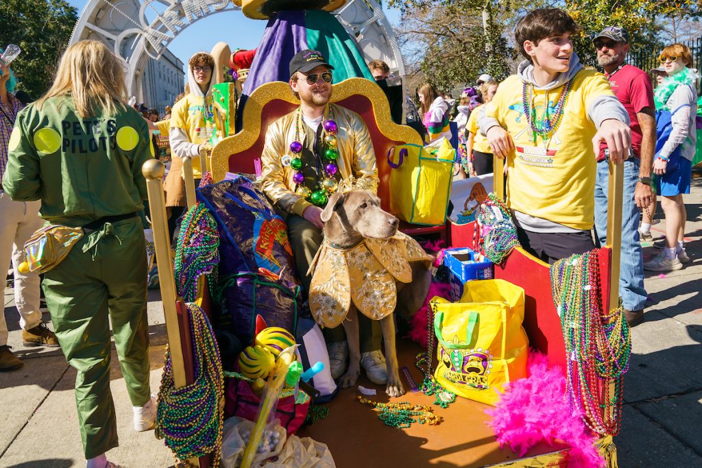 Photos: Mystic Krewe of Barkus Celebrates 30 Years