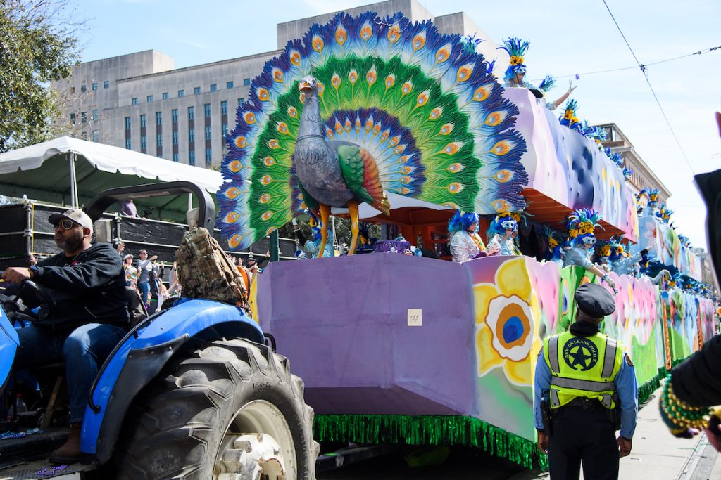 Photos: Krewe of Iris Soars To New Heights At Mardi Gras