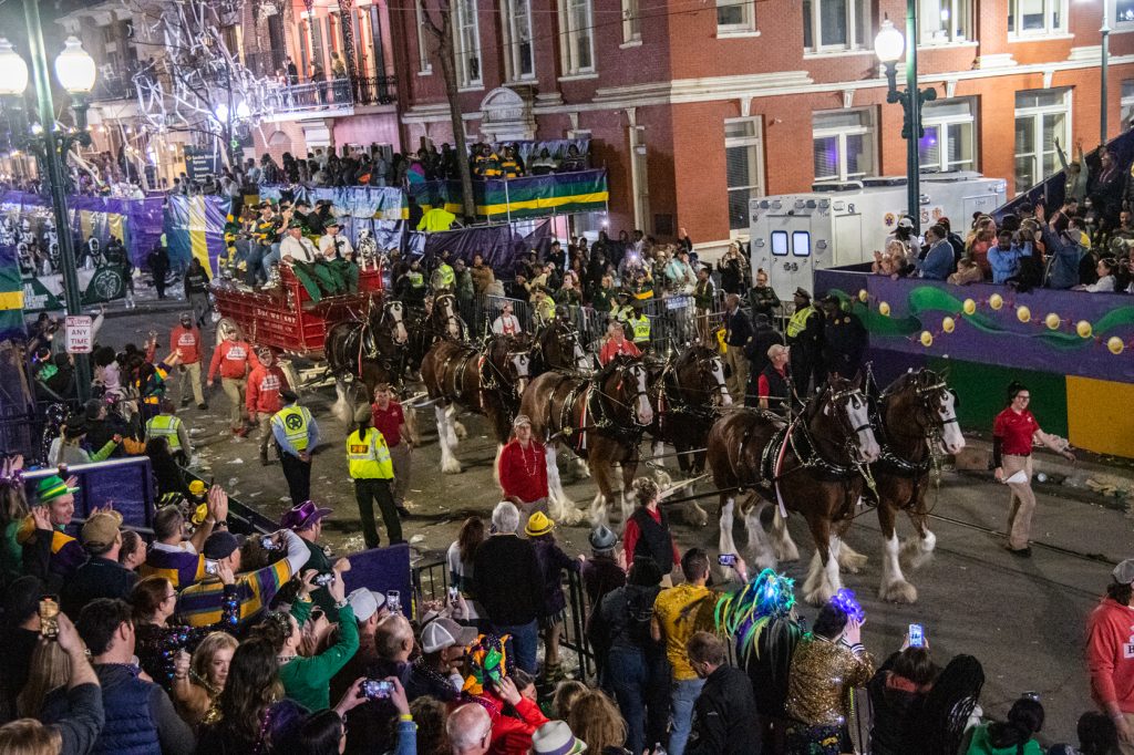 Photos: Krewe of Bacchus Rolled Through New Orleans