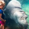Cincinnati Zoo Offering Free Admission to Moms this Sunday