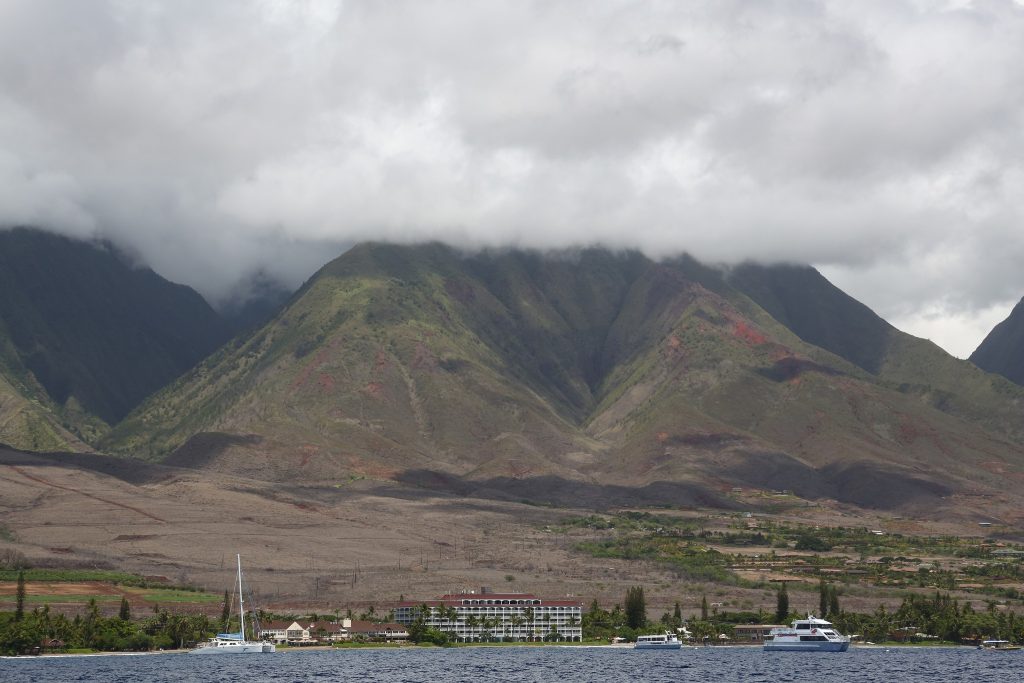 Tourists Are Encouraged To Avoid Travel To Maui 