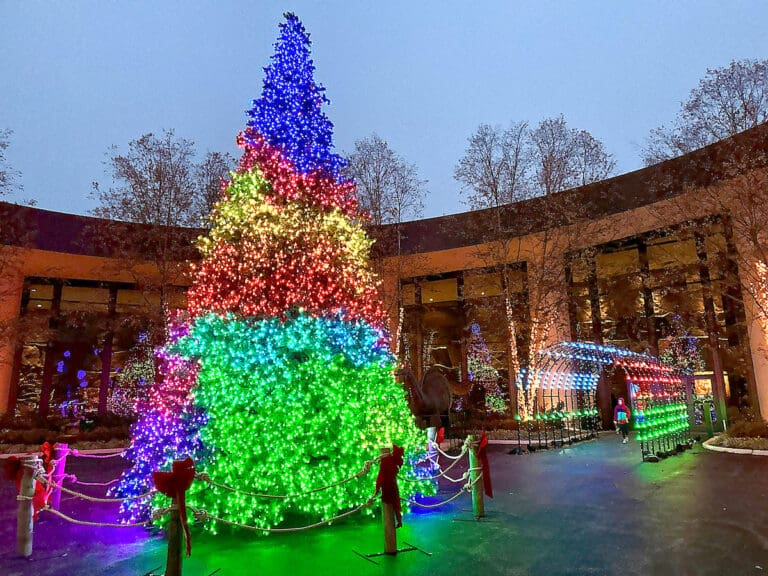 Experience The Magic Of ChristmasTown 2024 At The Creation Museum