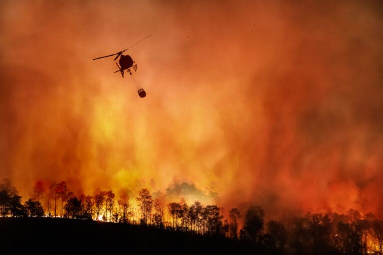 Where To Donate To Support L.A. Wildfire Victims