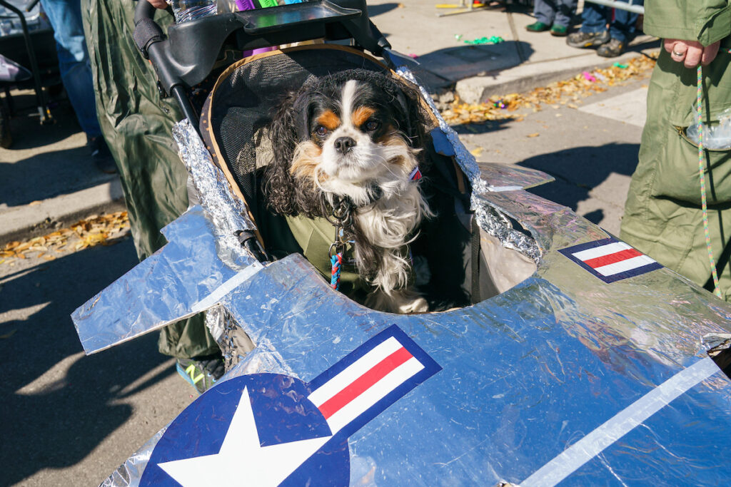 Barkus Parade Re-scheduled TO March 9th