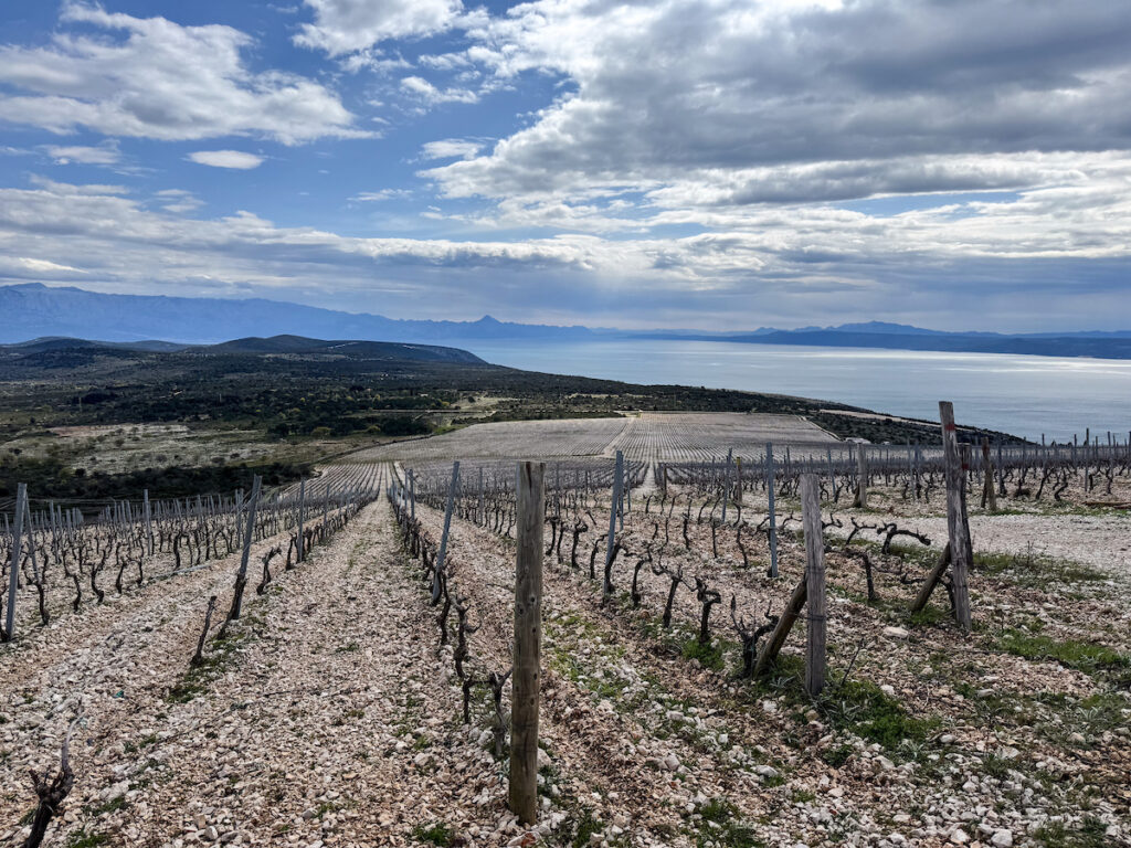 A Wine Lover’s Dream in Dalmatian Croatia