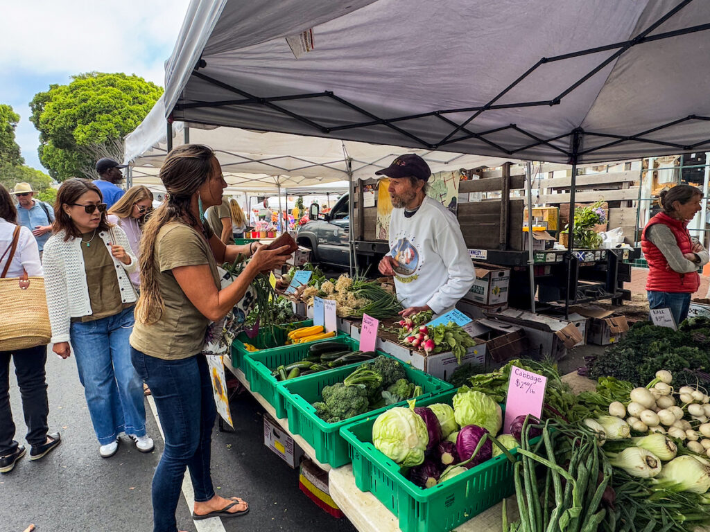 Five Perfect Days In Santa Barbara