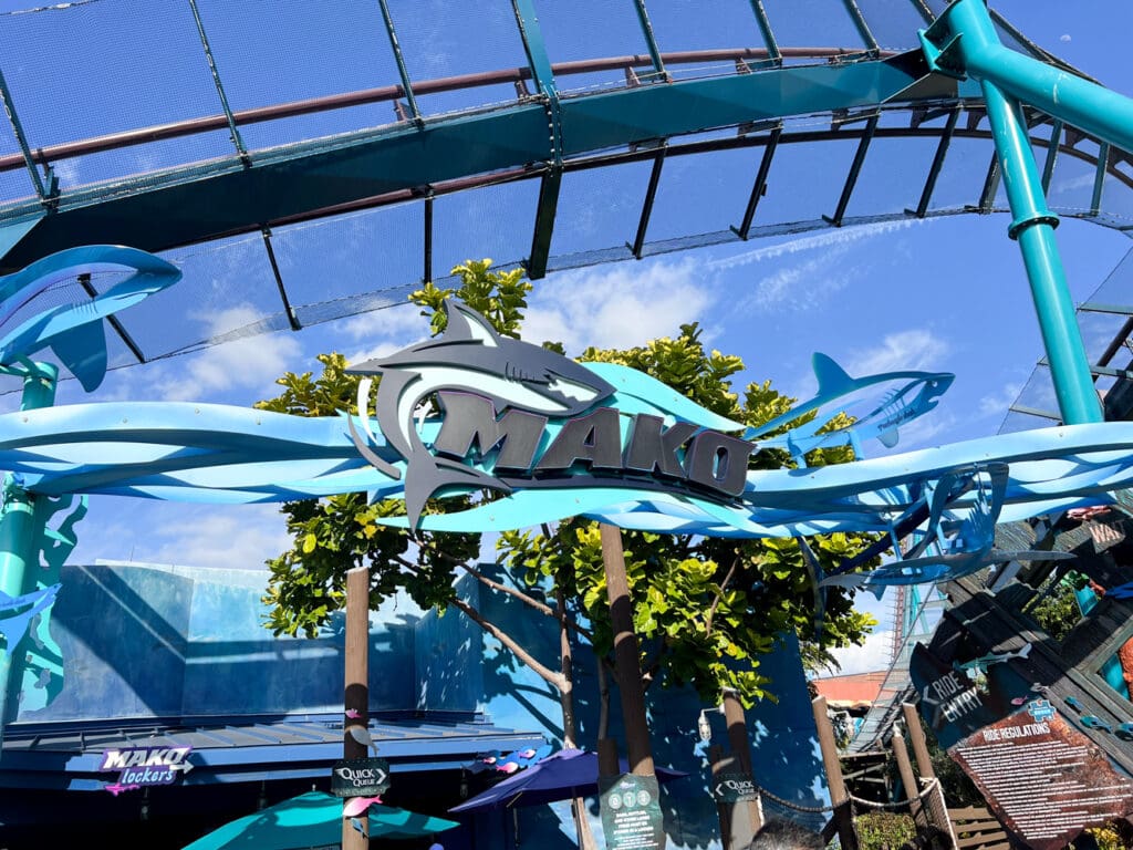 National Roller Coaster Day