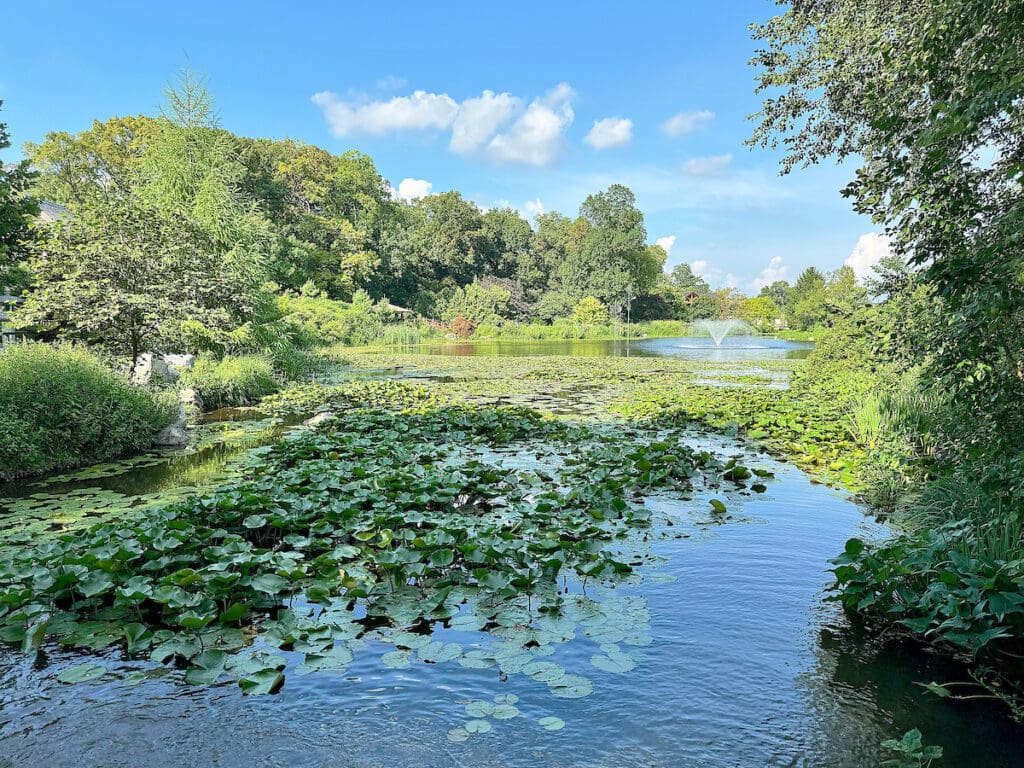 Elkhart’s Wellfield Botanic Gardens