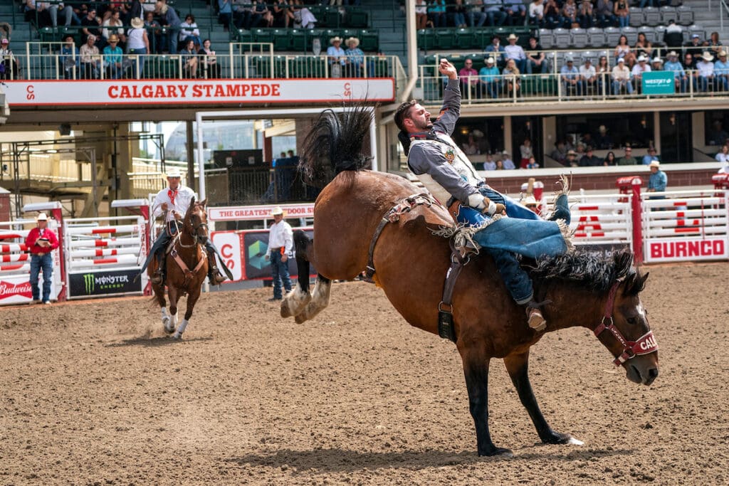 Inside the Calgary Stampede: Canada’s Greatest Outdoor Celebration