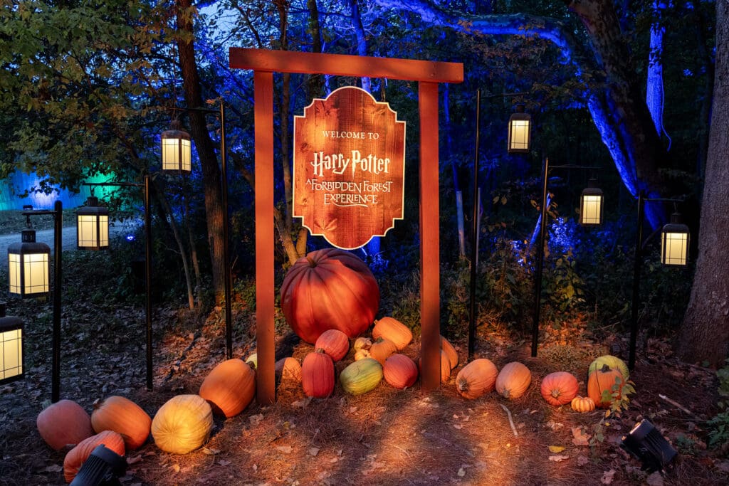 Inside the Harry Potter Forbidden Forest Experience