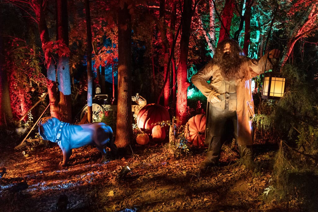 Inside the Harry Potter Forbidden Forest Experience