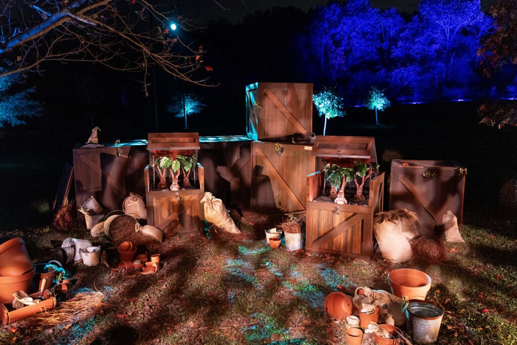 Inside the Harry Potter Forbidden Forest Experience