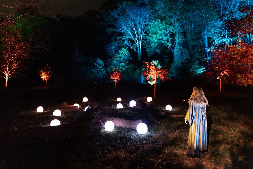 Inside the Harry Potter Forbidden Forest Experience