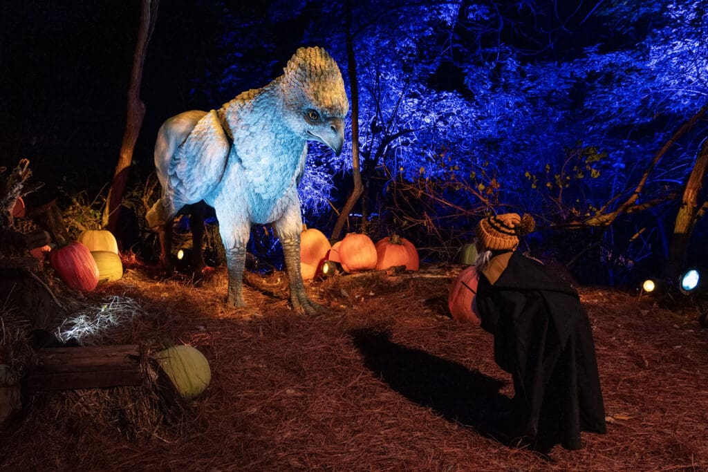 Inside the Harry Potter Forbidden Forest Experience