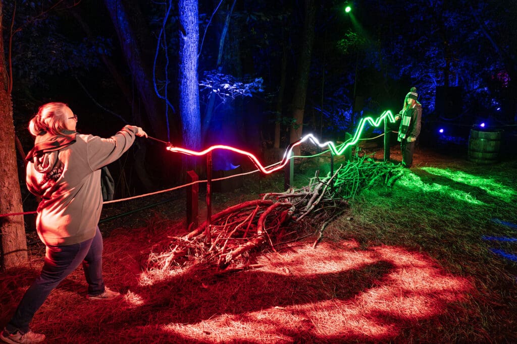 Inside the Harry Potter Forbidden Forest Experience