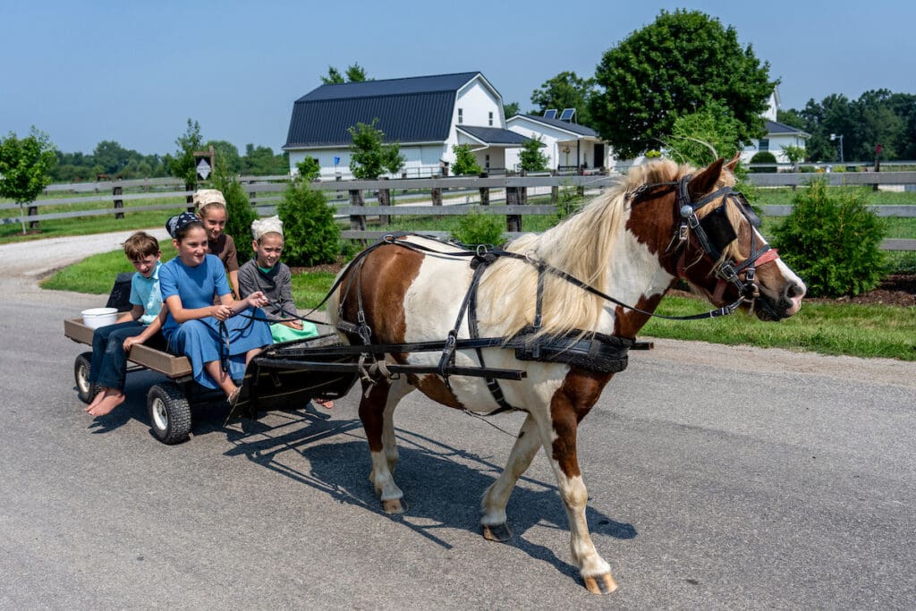 Meeting the Makers: A Road Trip Through Northern Indiana 