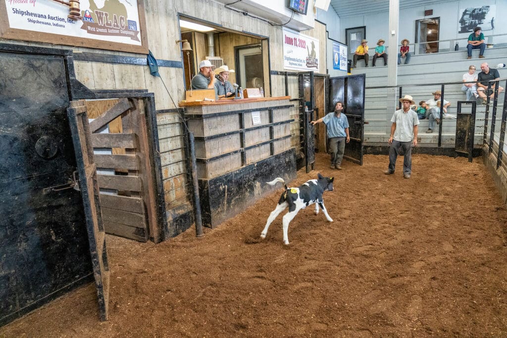 Meeting the Makers: A Road Trip Through Northern Indiana 