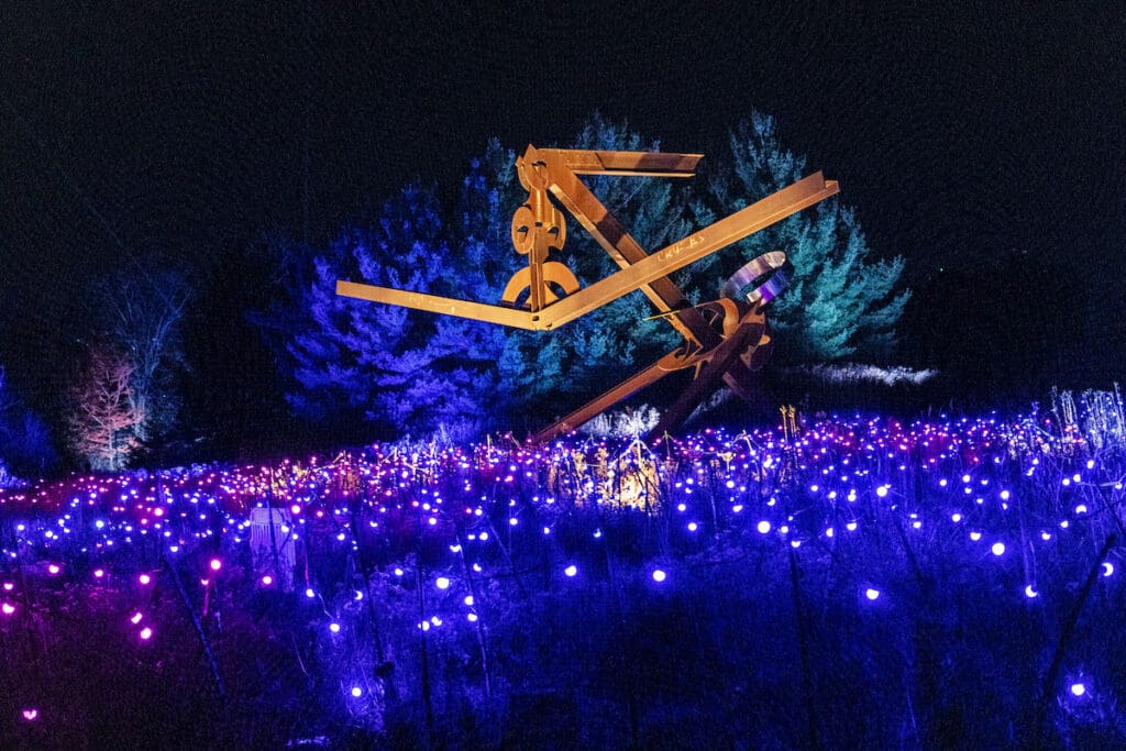 ENLIGHTEN Transforms Meijer Gardens Into a Winter Wonderland