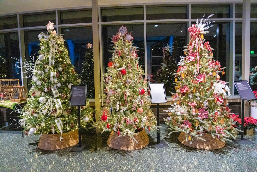 ENLIGHTEN Transforms Meijer Gardens Into a Winter Wonderland