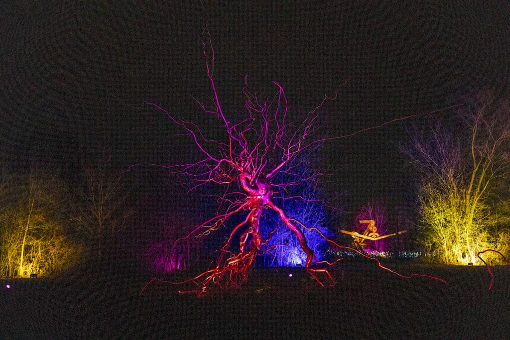 ENLIGHTEN Transforms Meijer Gardens Into a Winter Wonderland