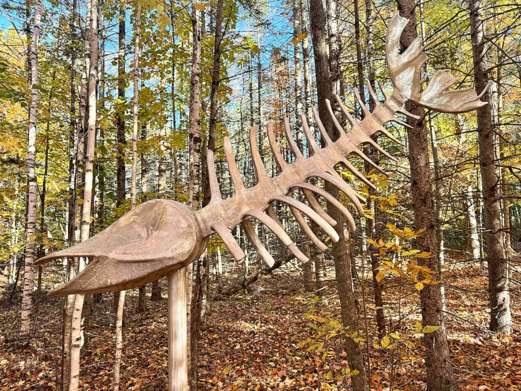 The Story of Edgewood Orchard Galleries