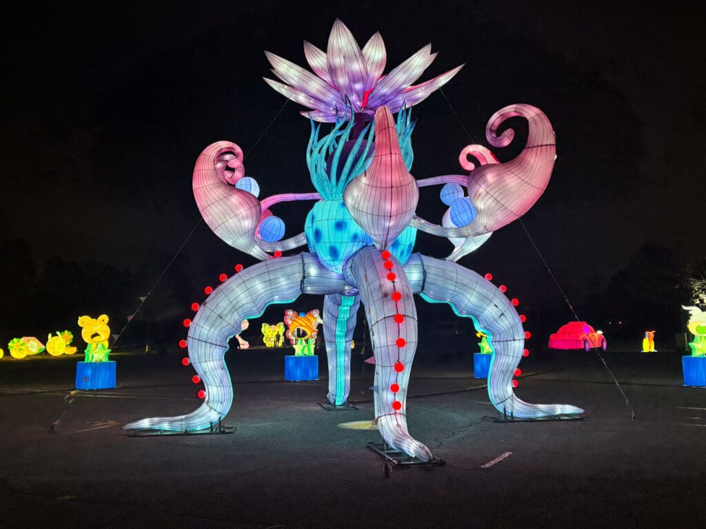 A Magical Night at Winter Lantern Festival