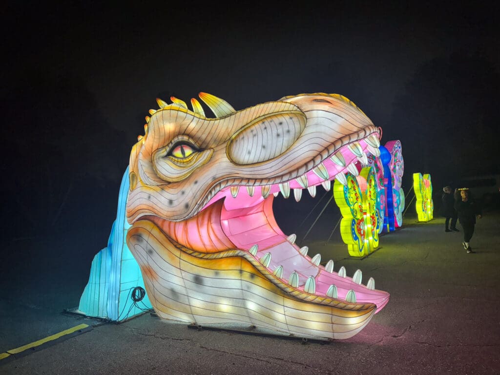 A Magical Night at Winter Lantern Festival