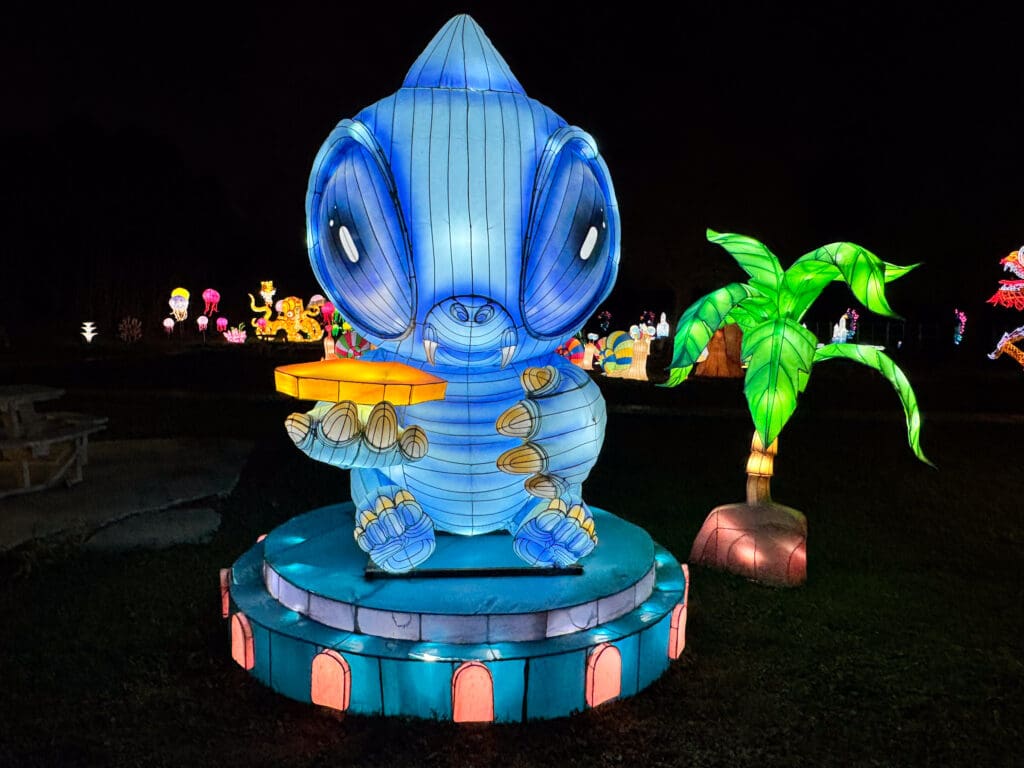 A Magical Night at Winter Lantern Festival