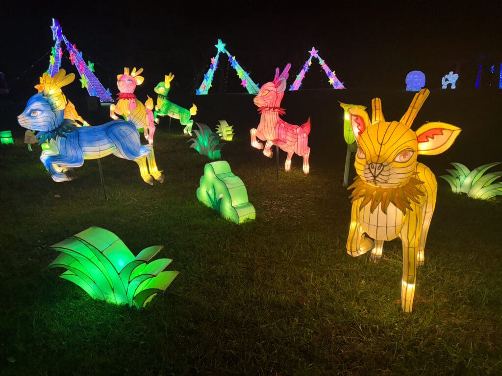 A Magical Night at Winter Lantern Festival