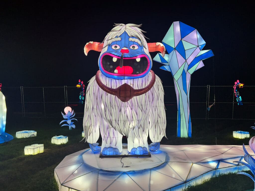 A Magical Night at Winter Lantern Festival