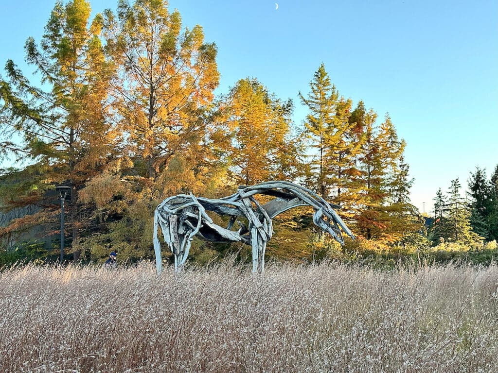 Discovering Frederik Meijer Gardens in Grand Rapids