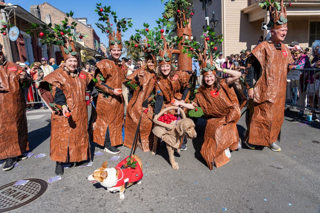 Inside the 2026 Krewe of Barkus Parade