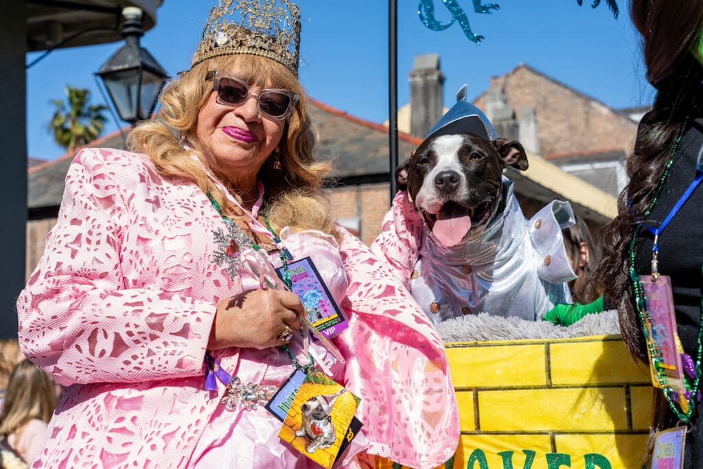 Inside the 2026 Krewe of Barkus Parade