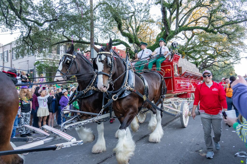 Bacchus 2026 Was a Super-Krewe for the History Books