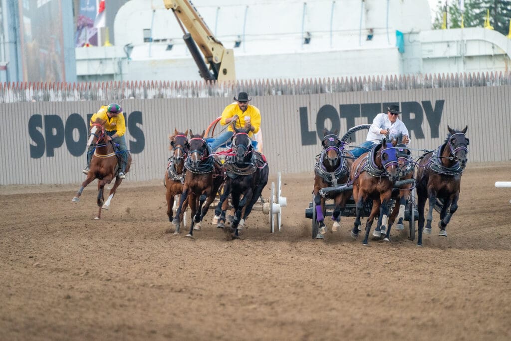 Calgary Stampede Day 7