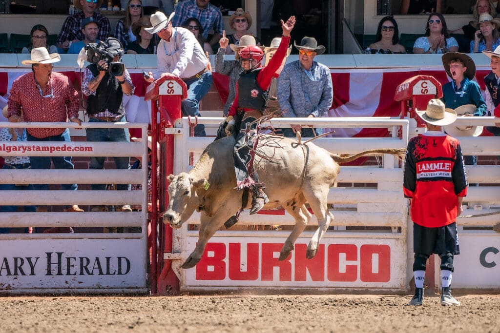 Calgary Stampede Rodeo Action Builds Toward Showdown Sunday