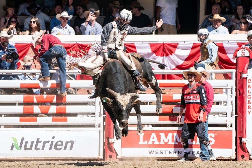 Calgary Stampede Rodeo Action Builds Toward Showdown Sunday