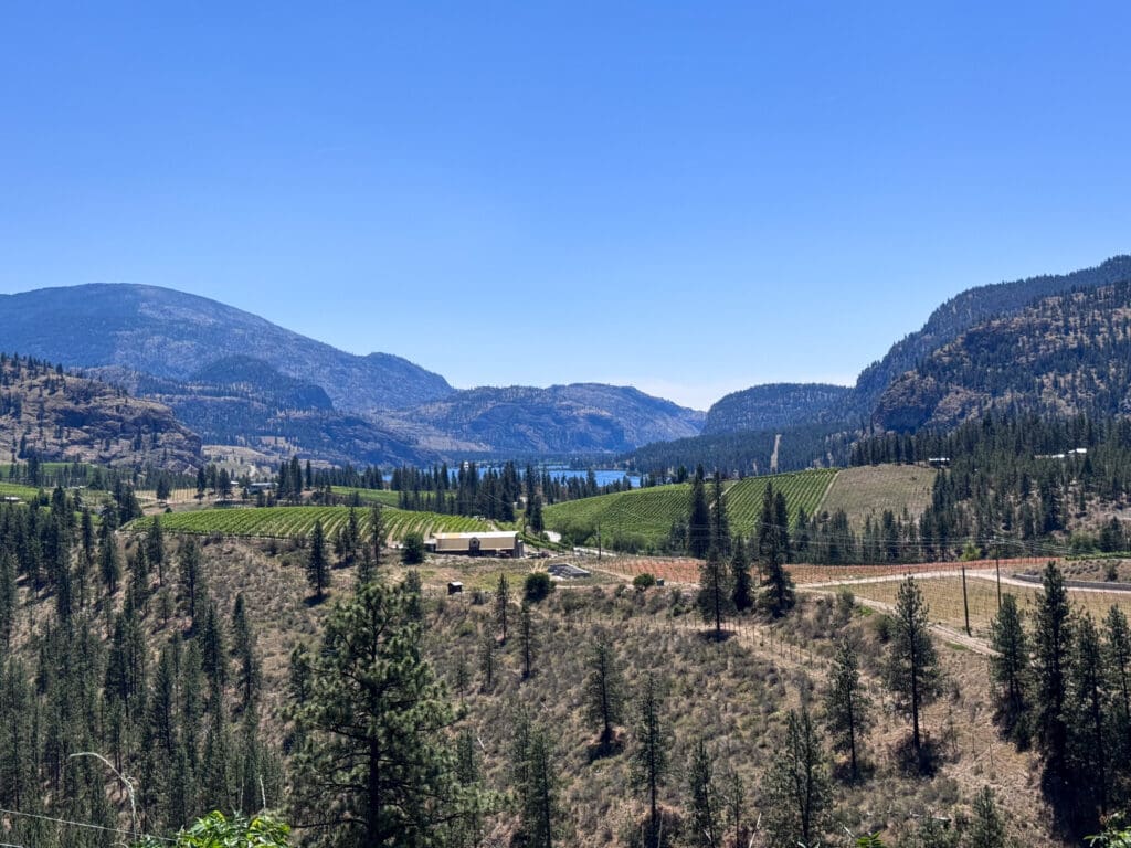 Liquidity Wines in British Columbia