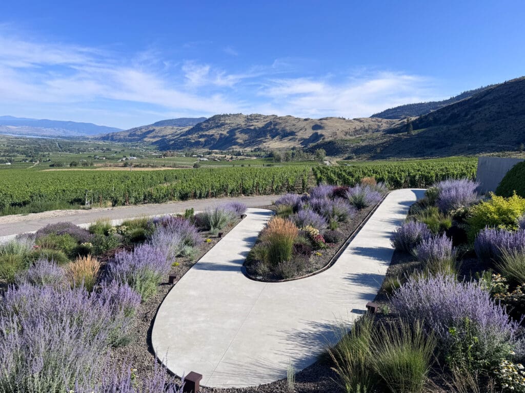 CheckMate Winery
