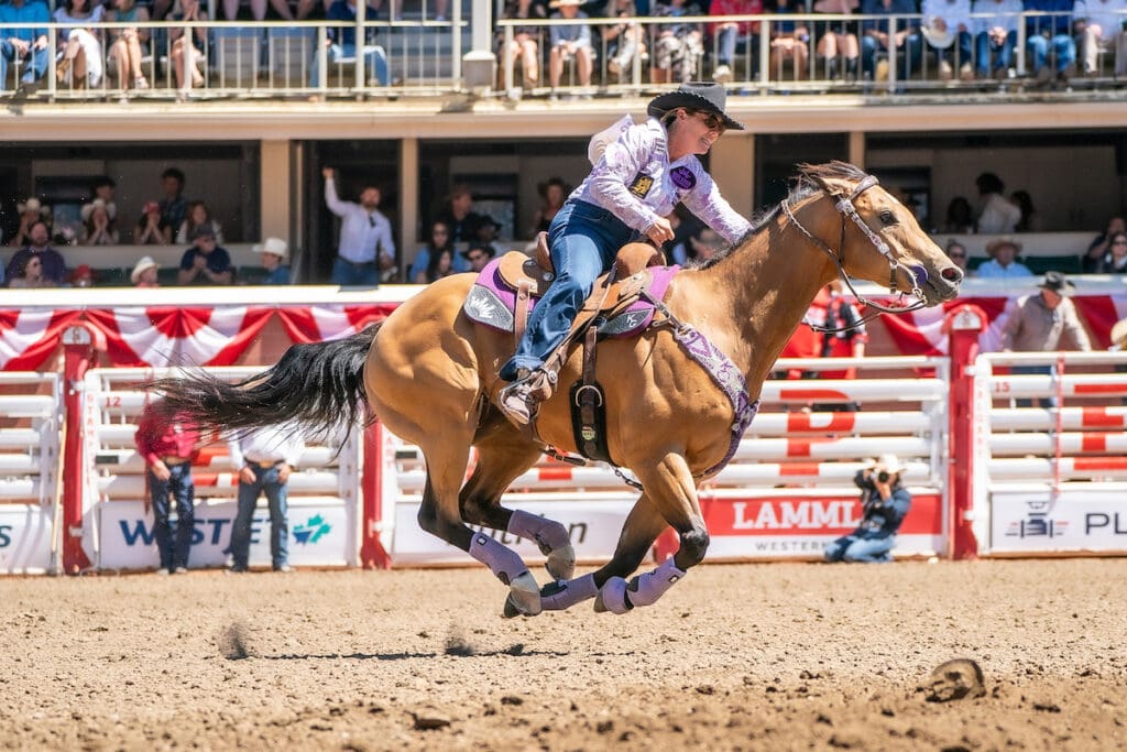 Calgary Stampede Rodeo Action Builds Toward Showdown Sunday