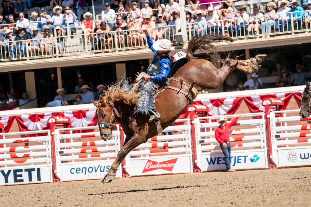 Calgary Stampede Rodeo Action Builds Toward Showdown Sunday